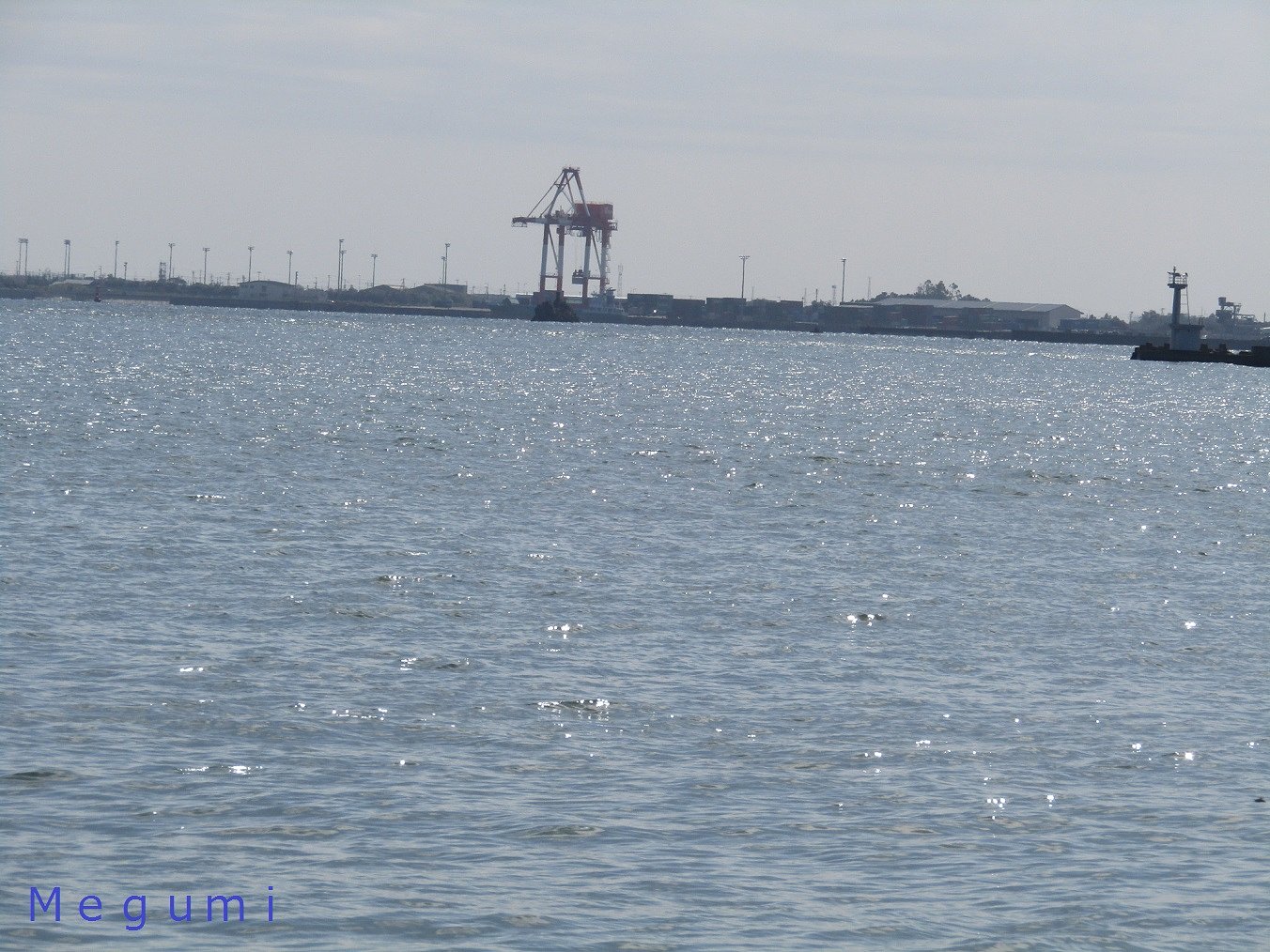 海にキリンが現れました、、(;^_^A
