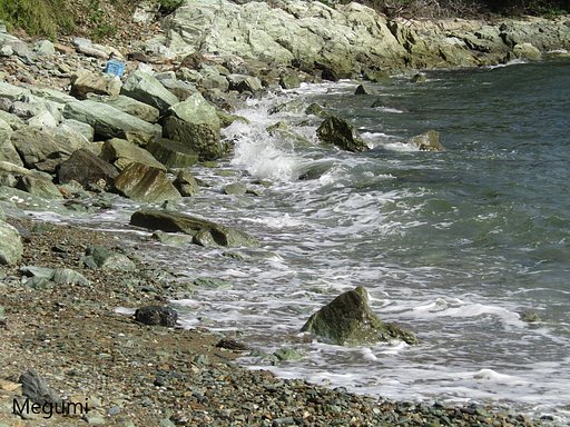 小神子海岸波打ち際　砕けた波　🌊