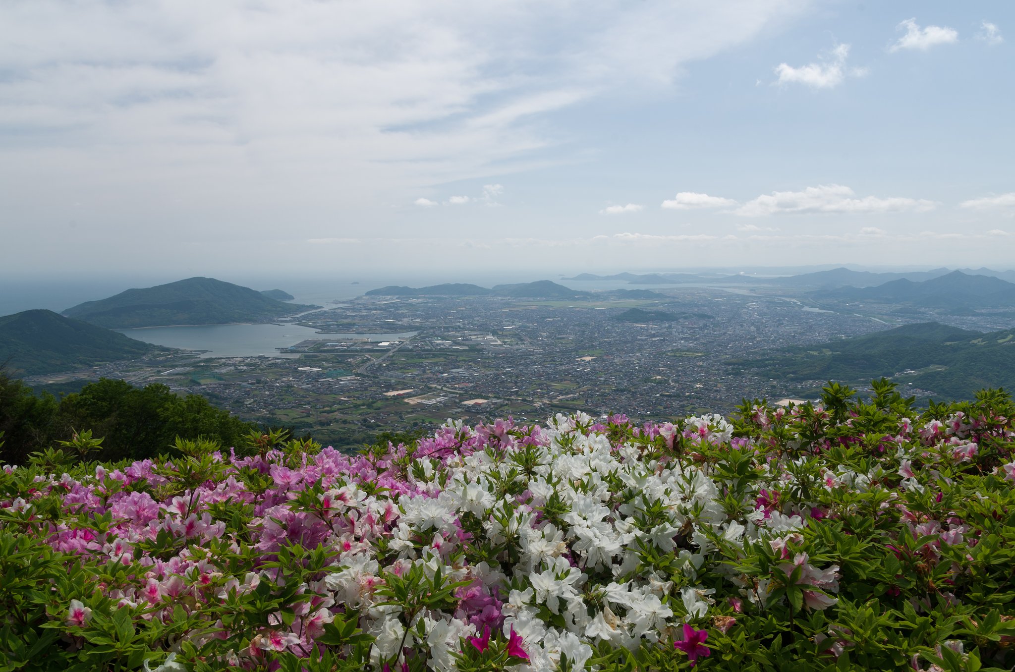 大平山