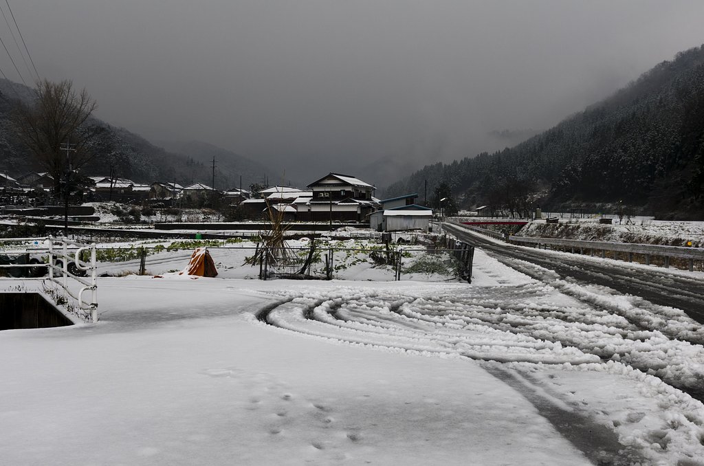 水っぽい雪が。
