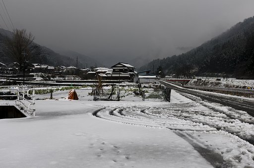 水っぽい雪が。