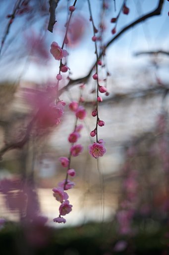 KERN-MACRO-SWITAR 1:1.8/50 AR