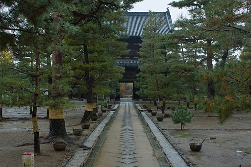 【寺社百景】 布袋さんの視野