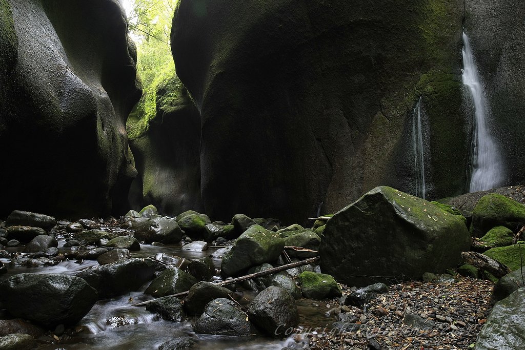 岩から水が・・・。