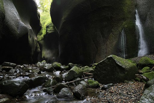 岩から水が・・・。