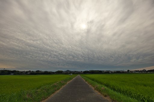 雲行き2