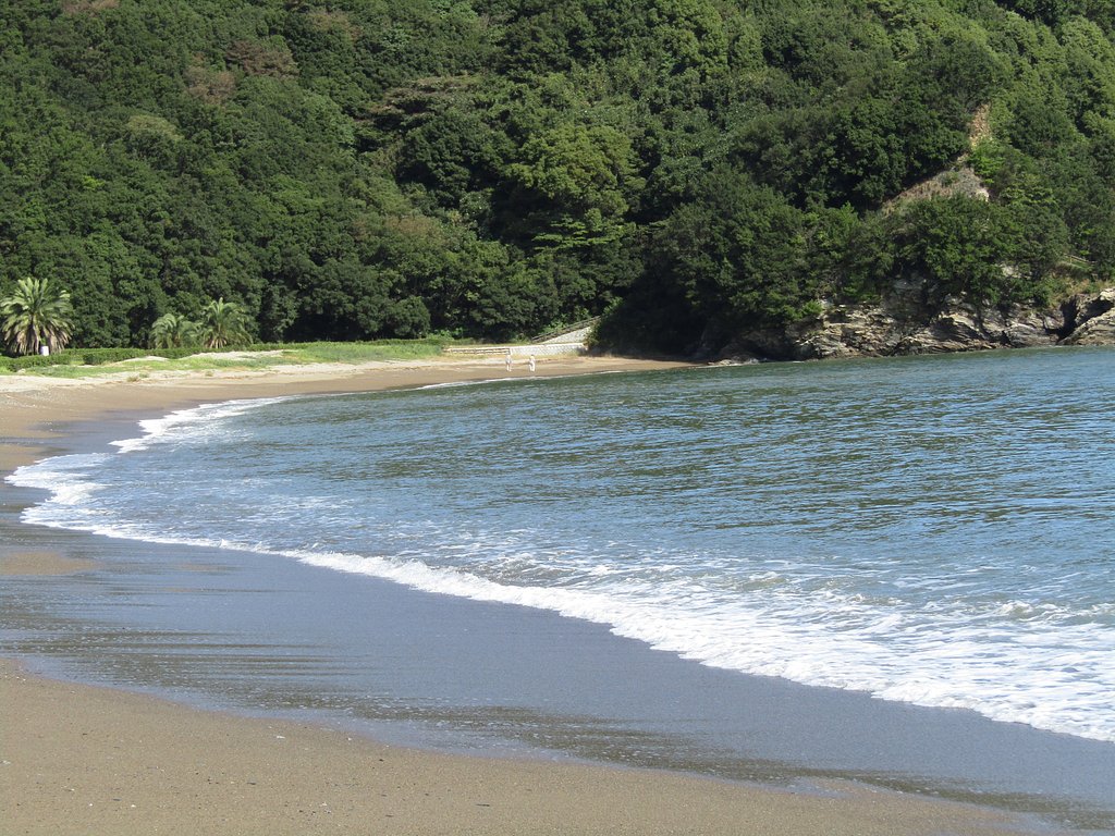 ⛵命⛵　海から陸へ命は浸透していきました