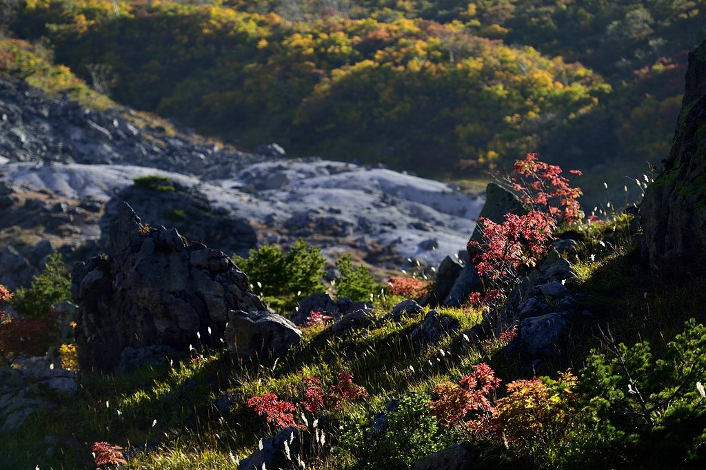 栗駒の紅葉