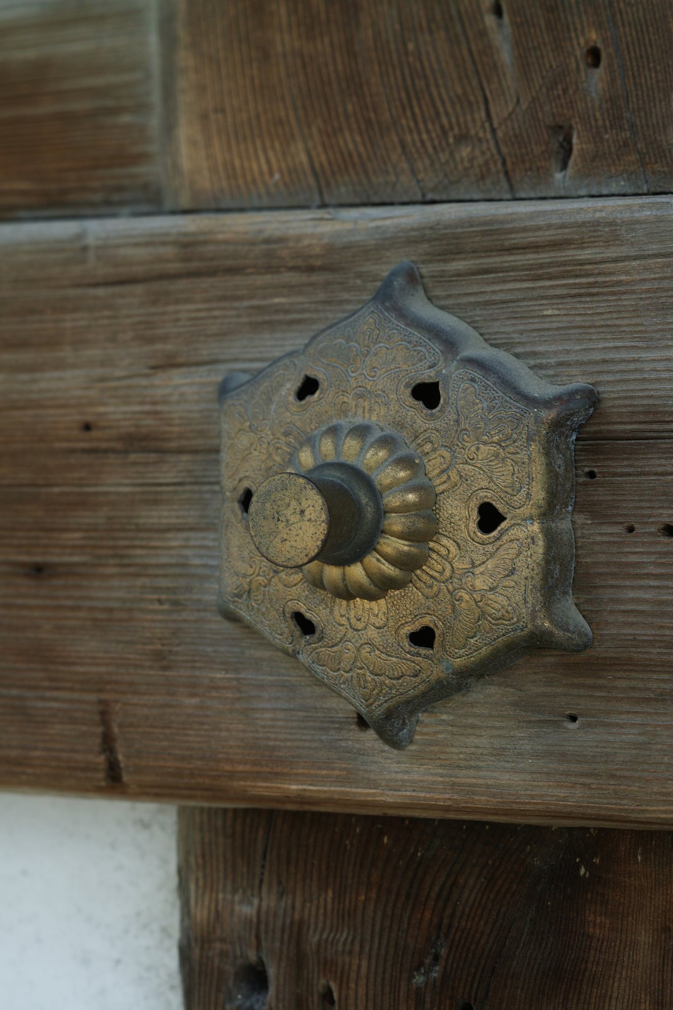 Micro-NIKKOR　Auto　1：3.5　f=55mm