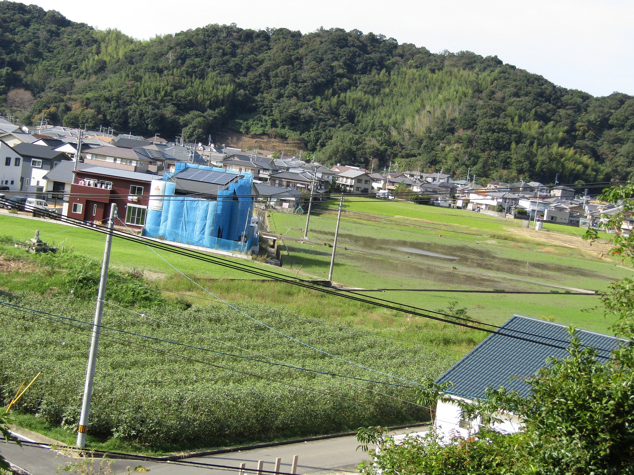 あと少しで大神子海岸の浜辺です