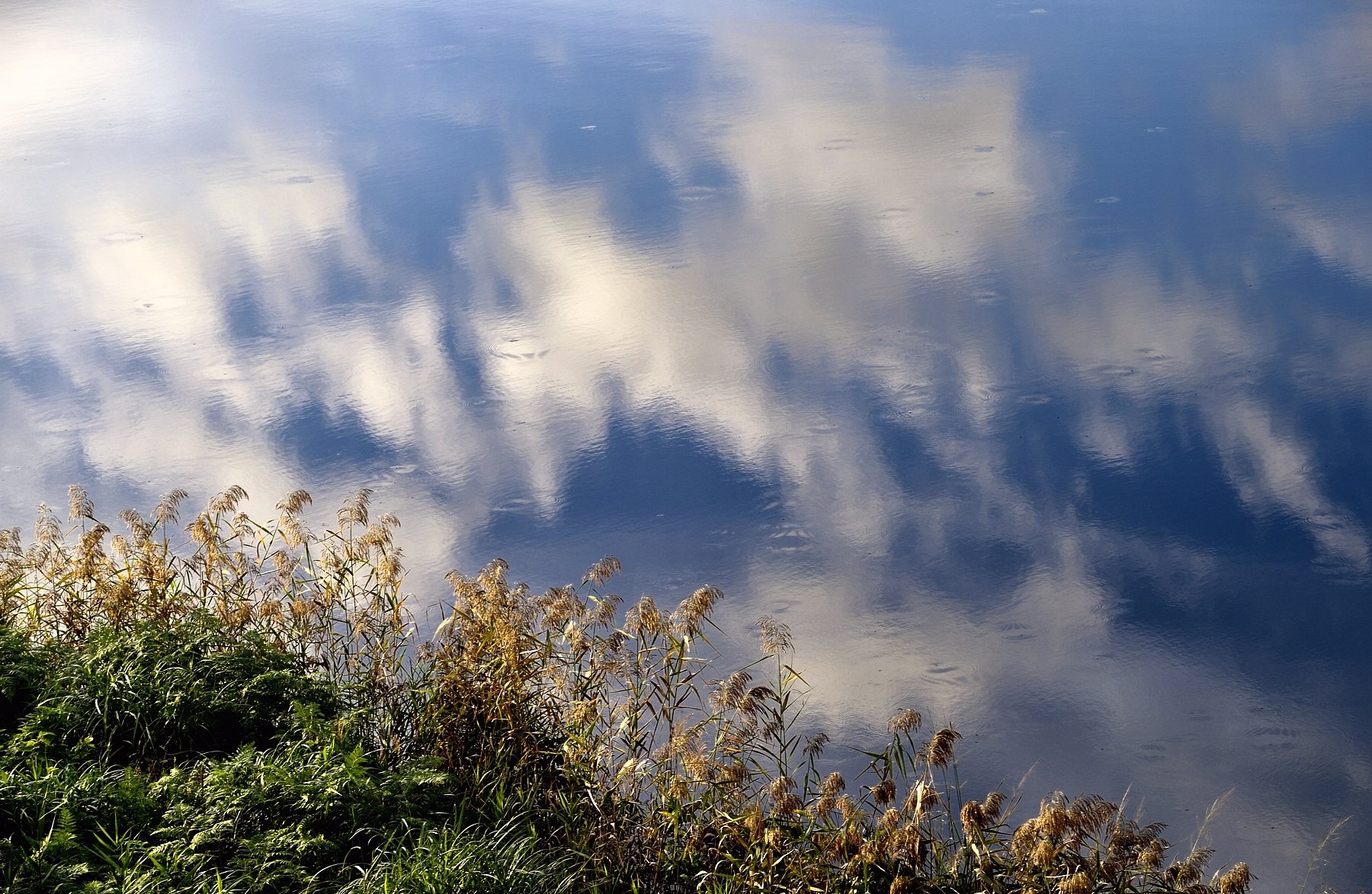 ニコンとシグマ　２