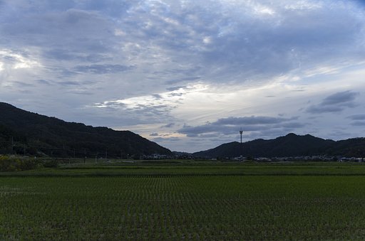 西側で激しい揺れが！