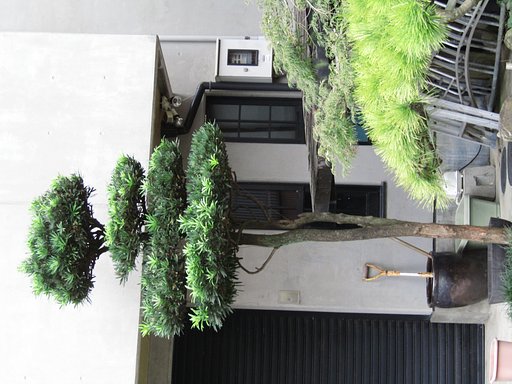 家庭菜園は自由にデザインできて面白い
