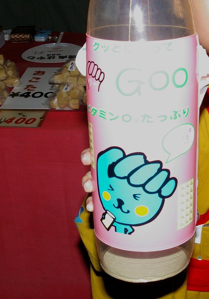 祇園の祭・・・4