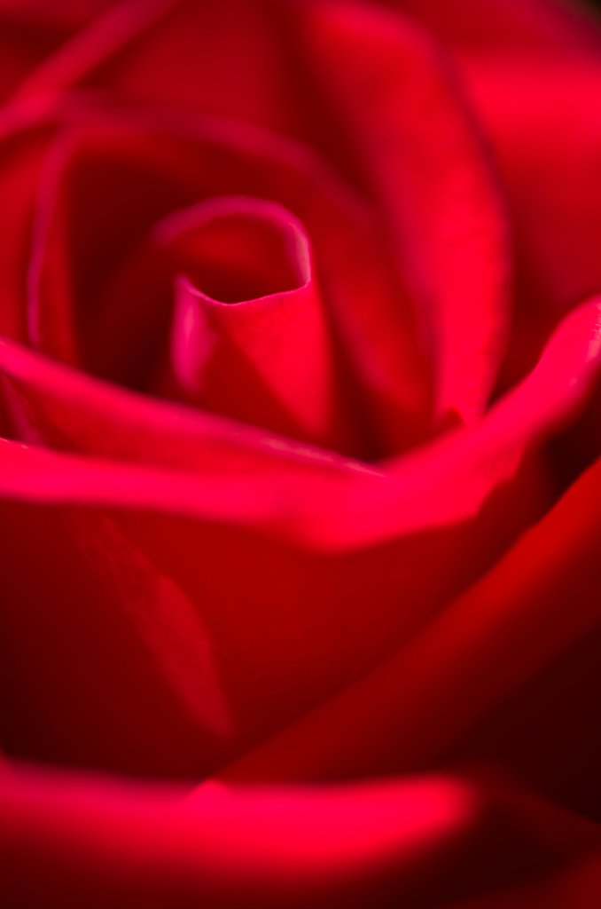 PENTAX-D FA MACRO 100mm F2.8