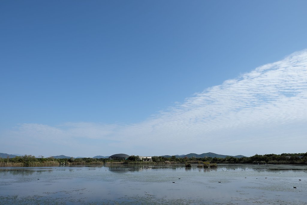 きらら浜自然観察公園