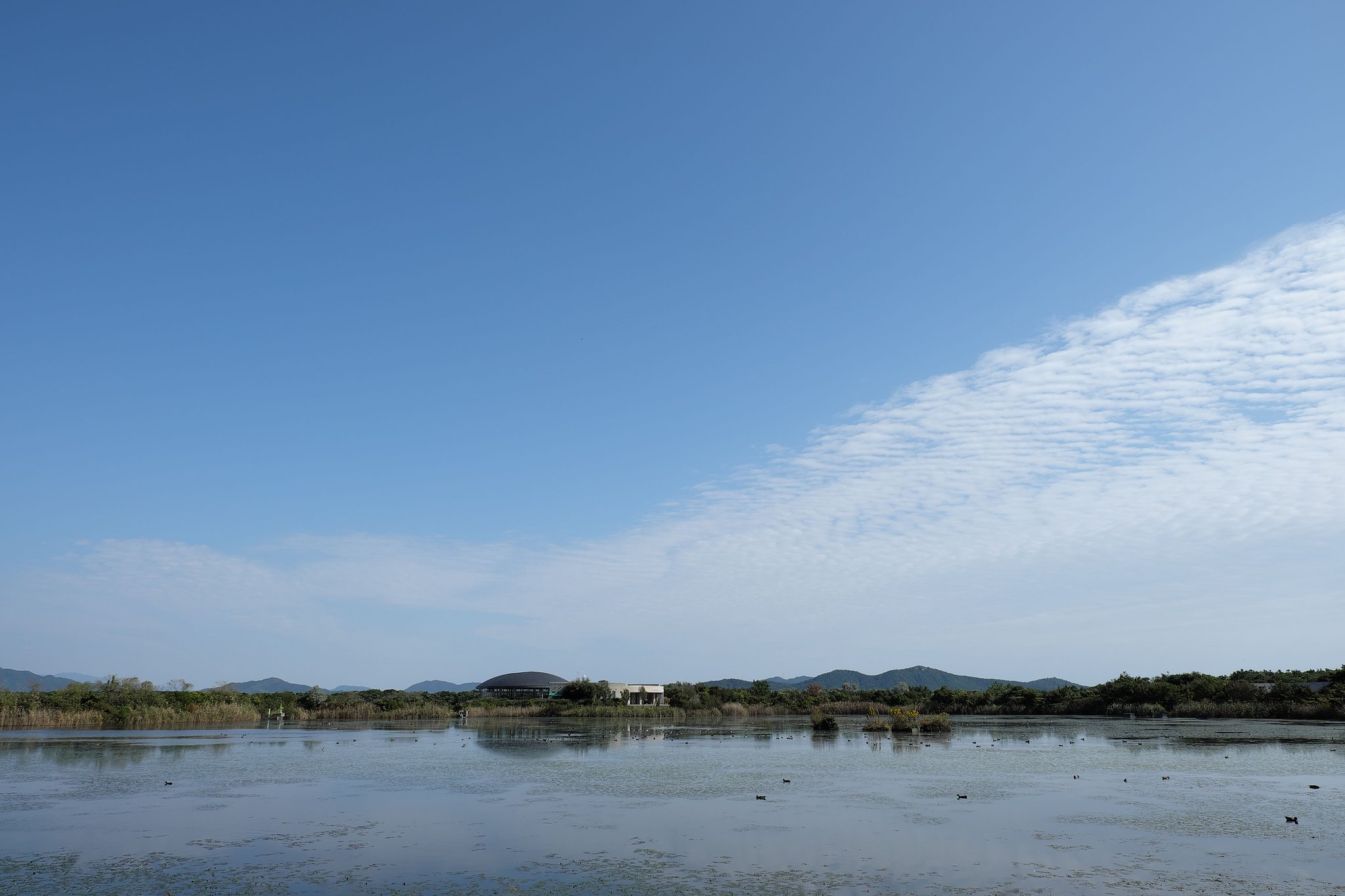 きらら浜自然観察公園