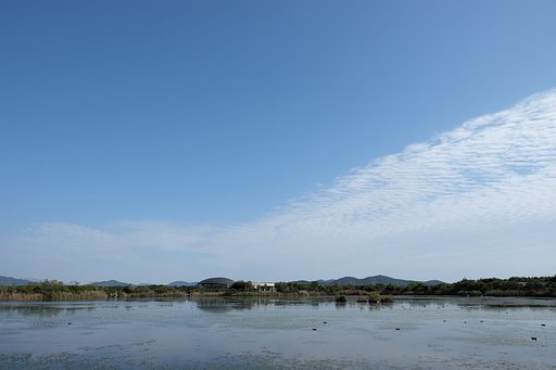 きらら浜自然観察公園