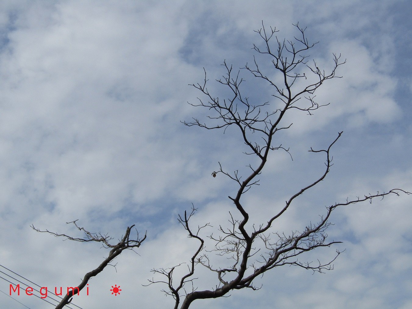 綺麗な青空