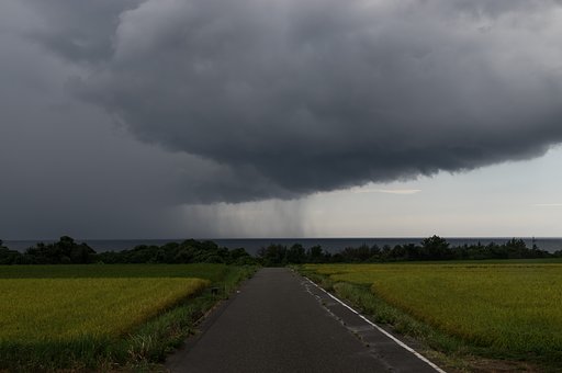 Sky  Fall