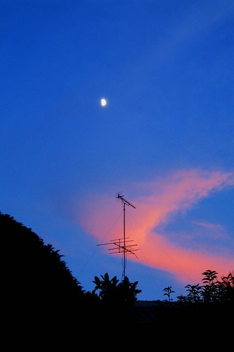 【天】空の半月