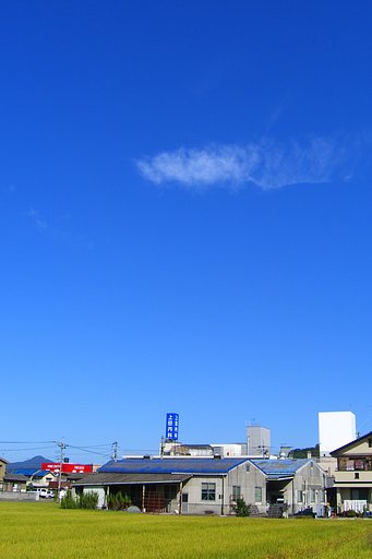 【天】高く