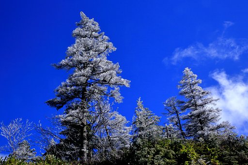 峠は雪に