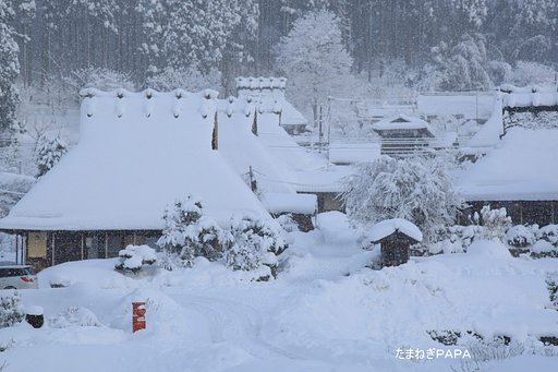 雪国
