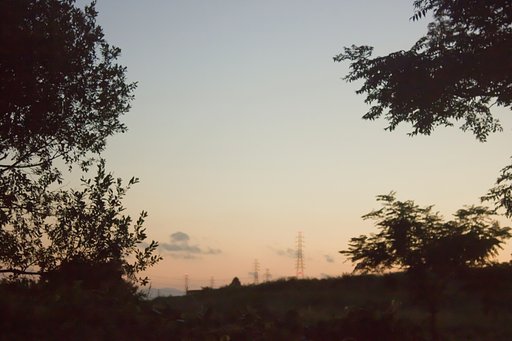 朝の空気