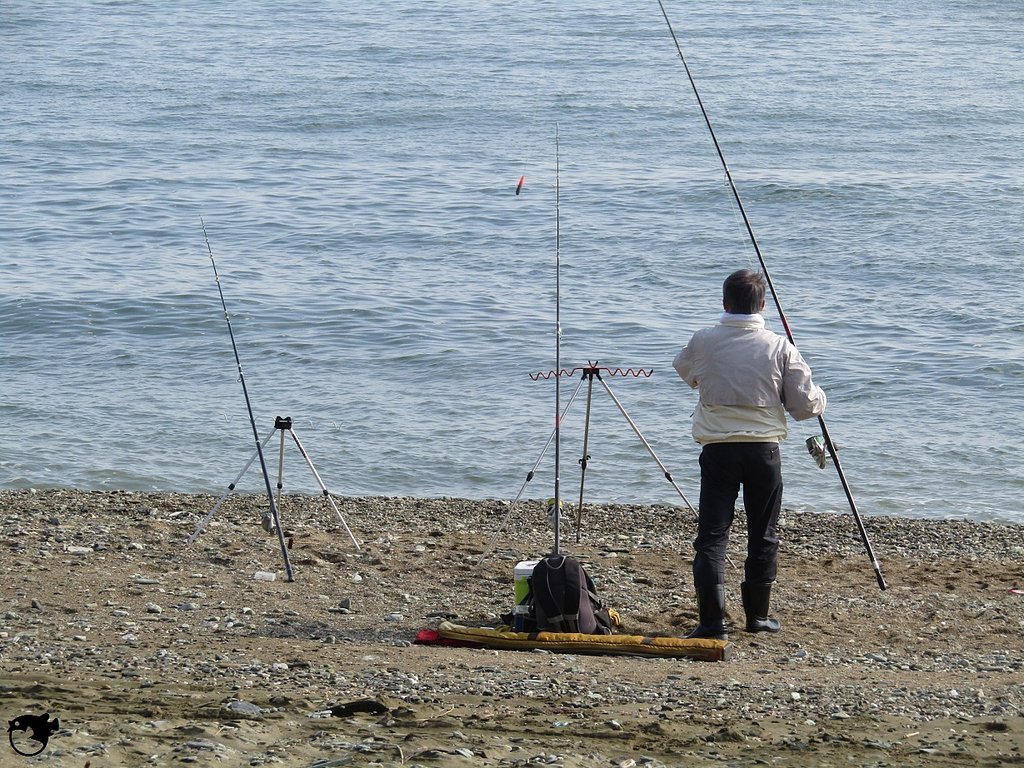 阿波の国の狸の里　海岸線は面白い