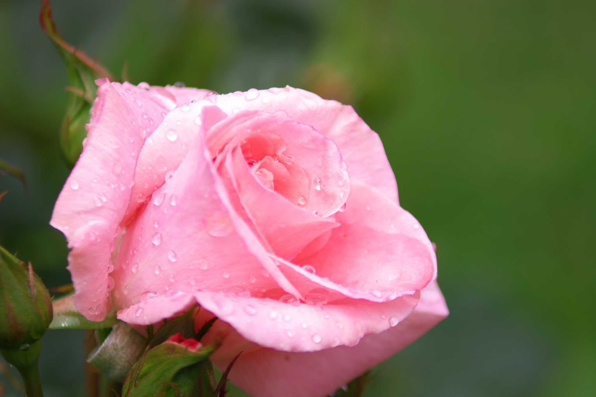雨の日は・・・・・