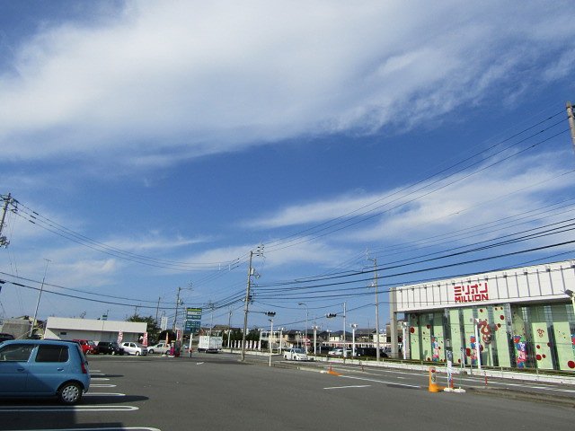 秋の青空が綺麗です