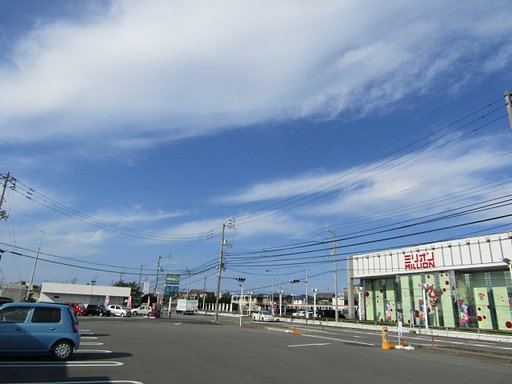 秋の青空が綺麗です
