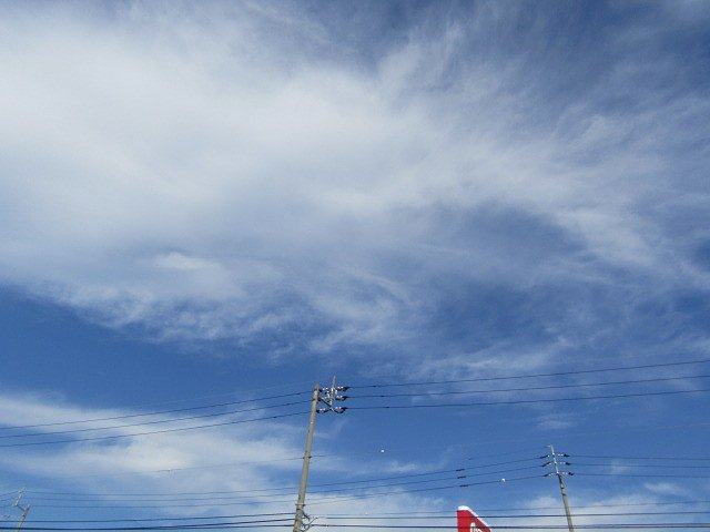 秋の青空は爽やかです