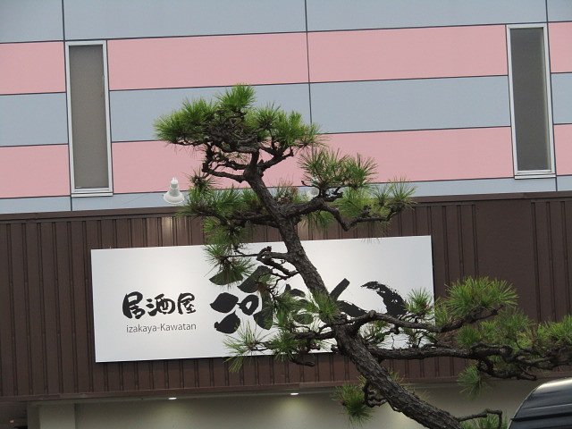 居酒屋の主なんです、、手が掛かるんです