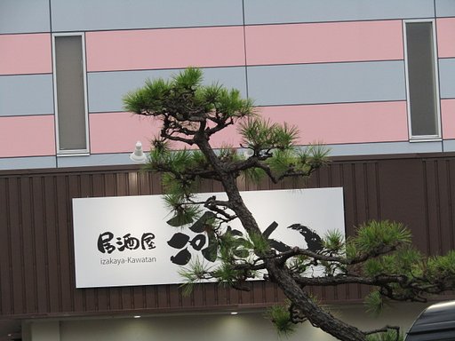 居酒屋の主なんです、、手が掛かるんです
