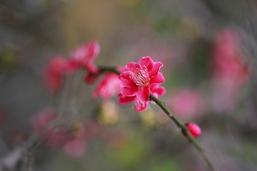 3月9日の写真