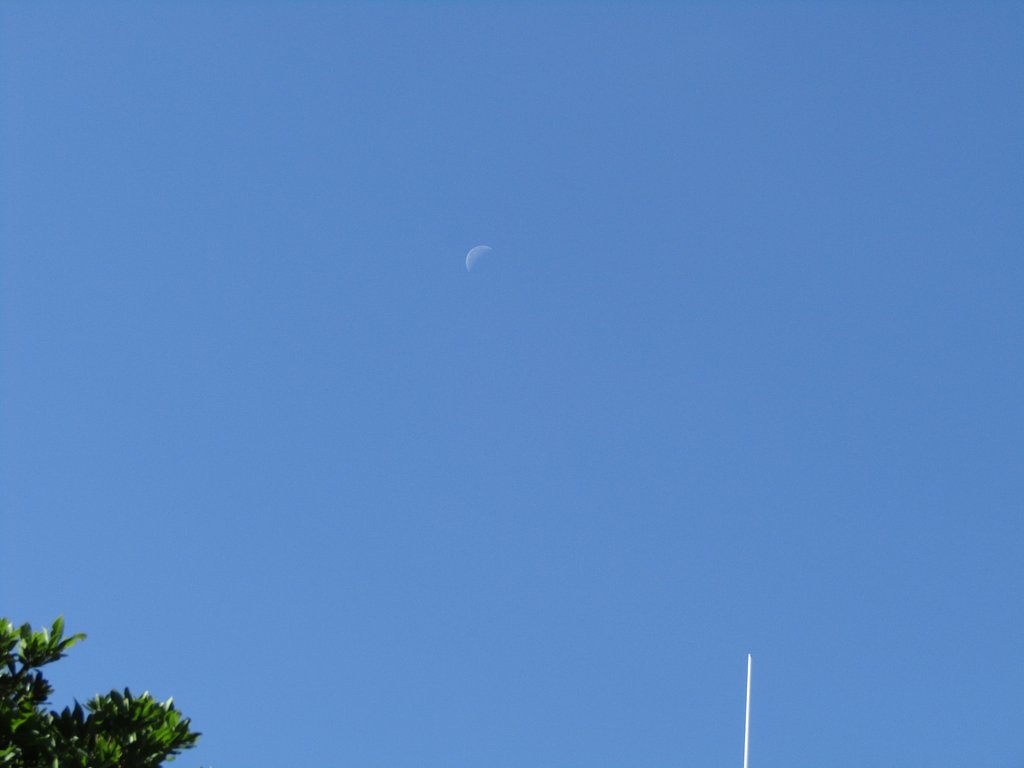 🌑命🌑　滓かに見える白日のお月様