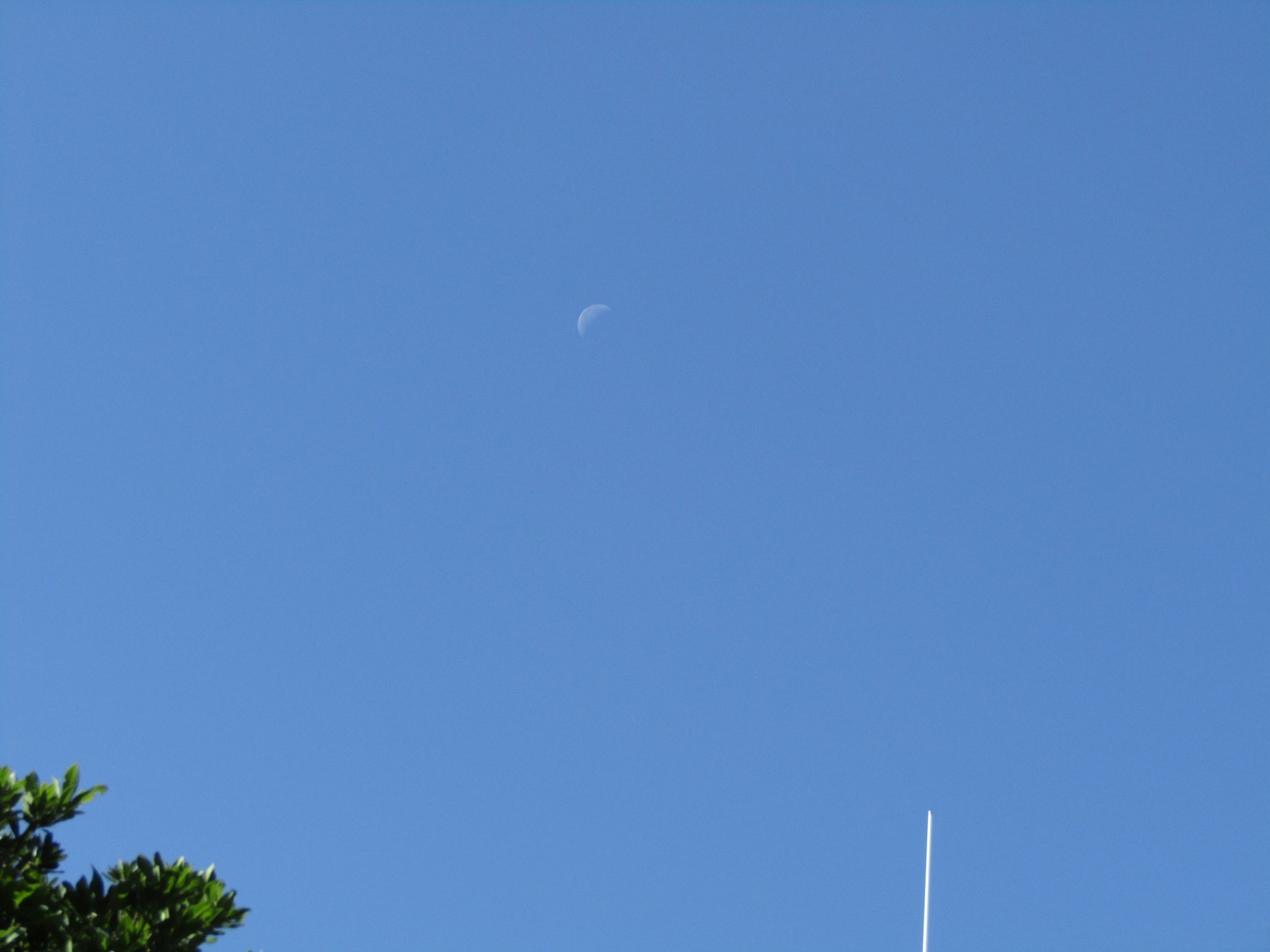 🌑命🌑　滓かに見える白日のお月様