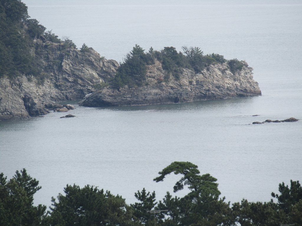 大きな海岸線を山の上から、、