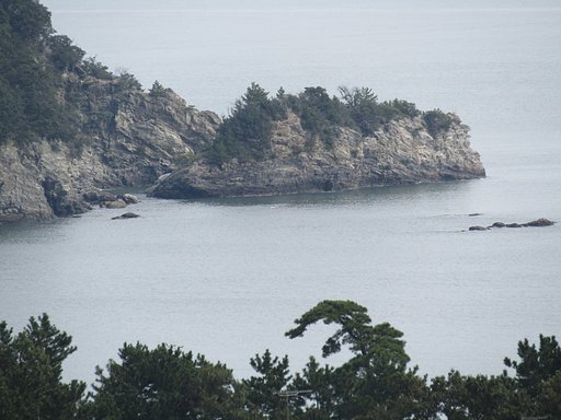 大きな海岸線を山の上から、、