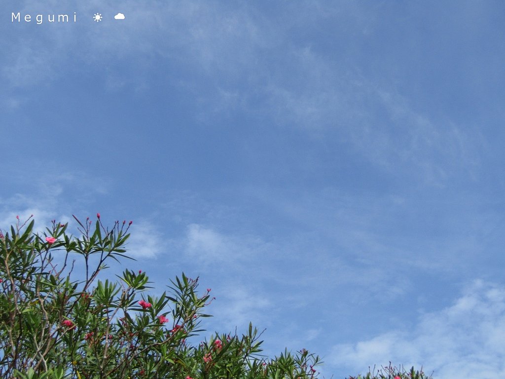 青いい空　☀　☁　のバランスがナイスです