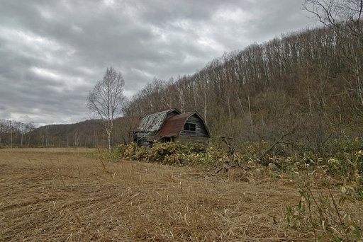 ワイエスな廃屋