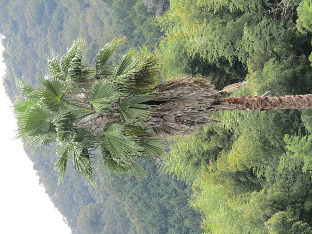 秋の雰囲気がわかりますか