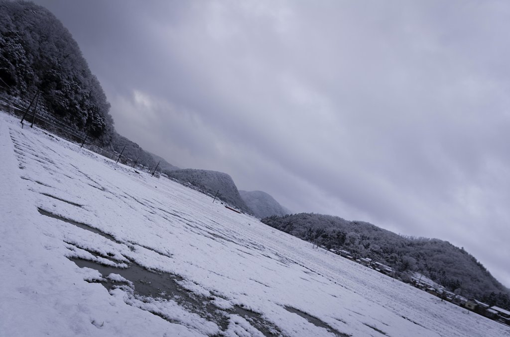 雪国！