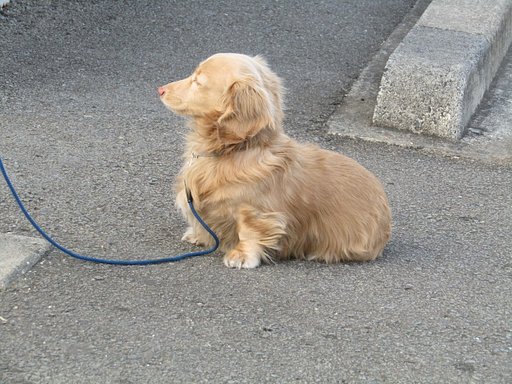 ポカポカの天気です　いい気分です