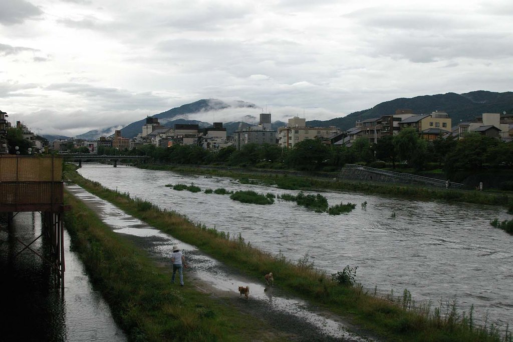 雨上がりの散歩