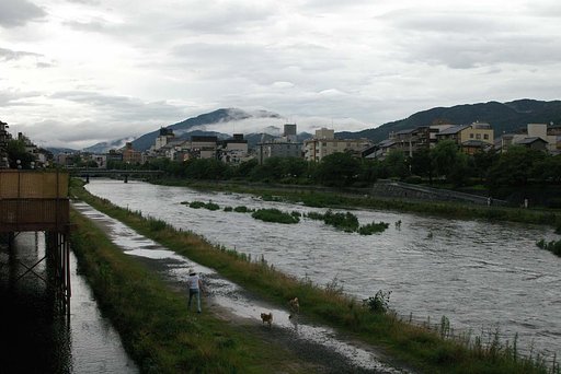 雨上がりの散歩