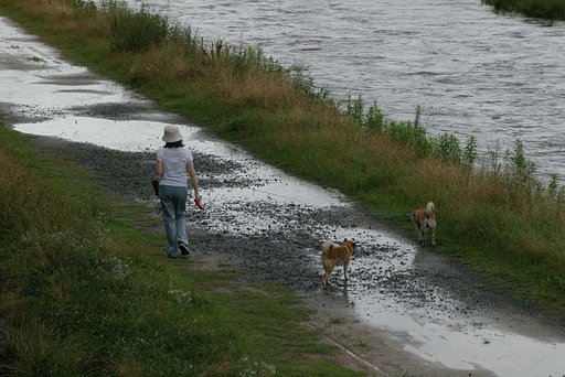 雨上がりの散歩（２）
