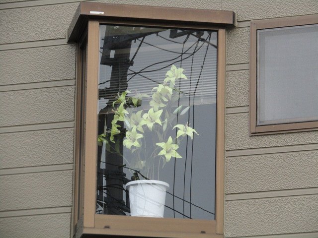 何処かの画像掲示板は閉鎖したと噂で聞きました